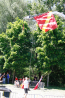 _MG_8937.jpg